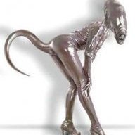 citoig